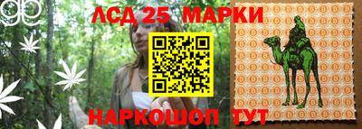 дмт Кандалакша