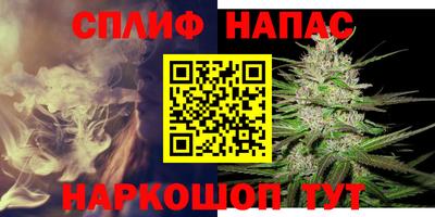 apvp Камышлов