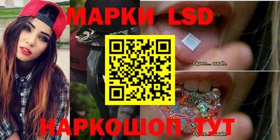 apvp Камышлов